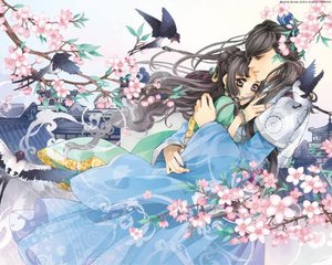 老狼最新专辑